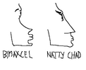 bimaxcel.png