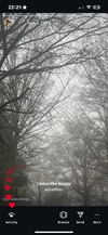 IMG_4777.png