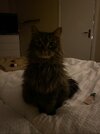 IMG_5668.jpeg