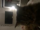 IMG_4900.jpeg