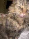 IMG_4899.jpeg