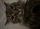 IMG_3620.jpeg