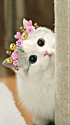1738584378139.png