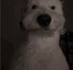 IMG_2510.jpeg