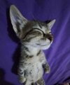 IMG_1437.jpeg