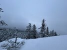 IMG_1785.jpeg