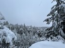 IMG_1790.jpeg