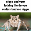 ezgif.com-animated-gif-maker.gif
