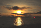 image.gif image.gif