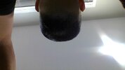IMG_20250206_194319.jpg