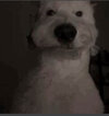 IMG_2517.jpeg