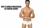 DNR gandy.jpg