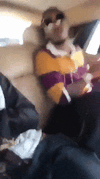 IMG_8556.gif