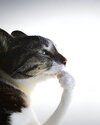 IMG_2999.jpeg