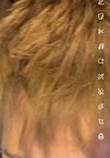 IMG_0783.jpeg