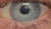 Skærmbillede 2025-02-11 kl. 22.12.34.png