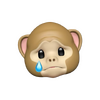 1739589174968.png
