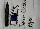 IMG_2517.jpeg