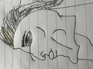 IMG_2516.jpeg