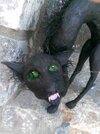 IMG_9806.jpeg