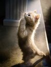 IMG_0842.jpeg