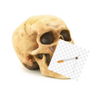 IMG_6623.png