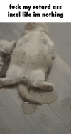 caption.gif