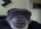 b5d5c2bdf2cf4d4638e3acf5f54f9f6f.jpg