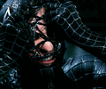 IMG_3556.gif