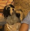 IMG_7119.jpeg