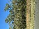 IMG_4274.jpeg