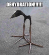 1741135983442.png