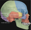 497264_1_En_5_Fig1_HTML.png