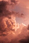 pexels-dapo-abideen-5677459.jpg