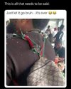 IMG_4617.jpeg