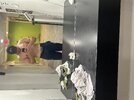 IMG_5771.jpeg
