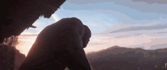 IMG_9240.gif