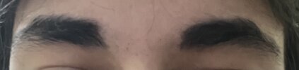 IMG_2722.jpeg