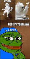 IMG_8192.jpeg