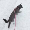 IMG_2345.jpeg