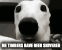 timbersshivered-yikers.gif