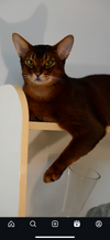 4622218_IMG_6522.png