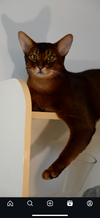 4622220_IMG_6523.png