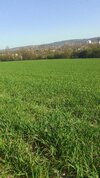 IMG_1639.jpeg