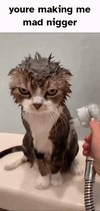 Youre making me mad.gif