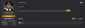 Screenshot 2025-04-02 at 19.23.54.png
