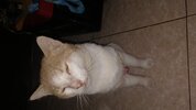 20231130_131315.jpg