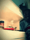 IMG_1704.gif