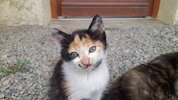 20220626_170818.jpg