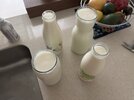 IMG_2911.jpeg